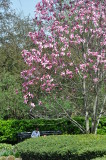 DSC_0336.JPG