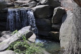 DSC_0360.JPG