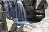 DSC_0363.JPG
