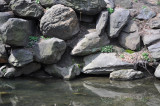 DSC_0375.JPG