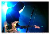 The bellrays - Rock Herk