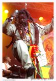 ricky chaplin - reggae geel