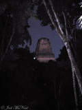 View of Temple III at nightfall