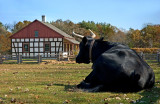 Schulz Farm