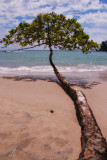 parque nacional de manuel antonio