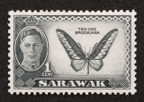 Sawarak wings.jpg