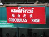 off to the crocodile show