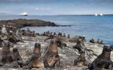 Galapagos1-12.jpg