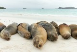 Galapagos1-23.jpg