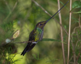 EcuadorBirding-23.jpg