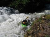 IMG_6612 small.jpg