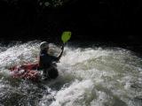 IMG_6615 small.jpg