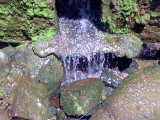 25102008488.jpg