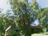 02012010(034).jpg