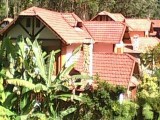 IMG0013A.jpg