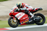 Troy Bayliss (Ducati Corse)