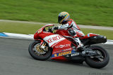 Troy Bayliss (Ducati Corse)