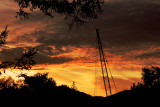 Sunrise Over The Crane