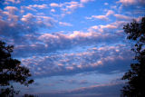 A New Morning