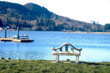 Lower Nehalem River