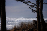 Cape Lookout State Park