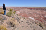 Petrified Forest