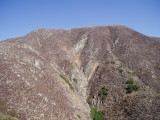 P1010276.JPG