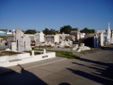 P1010289.JPG