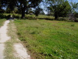 City Park