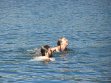Swim