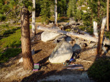 camp flume from the perching rock above