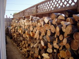 wood.jpg