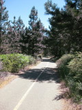 Crystal Basin Path