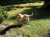 Molly