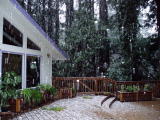 Snowfall