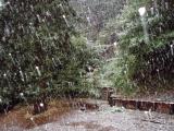 Snowfall