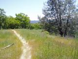 Tie down trail