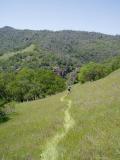 Pacheco falls decent.