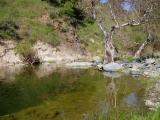Near camp