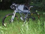 Cathys ride
