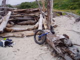 PC150312.JPG