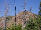 Grouse Ridge Lookout - 7635 ft. (>2000 ft climb)