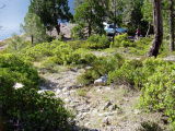 Site