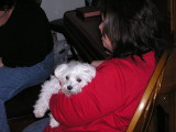 Christmas 08 Allie.JPG