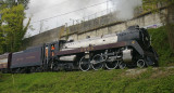 IMGP0404A.jpg