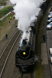 IMGP0516a.jpg