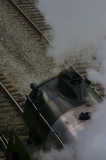 IMGP0526.jpg