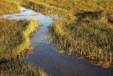 _MG_6850.jpg