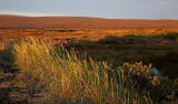 _MG_7568.jpg