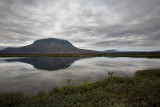 _MG_7605.jpg